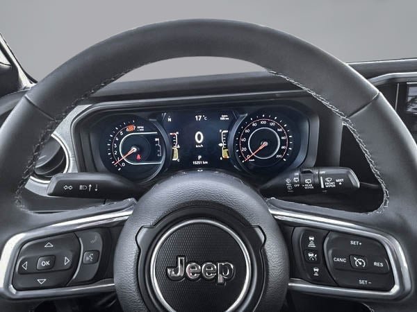 Jeep Wrangler SAHARA 2025-19