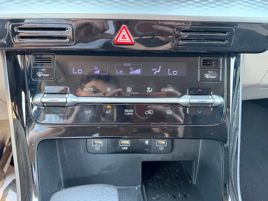 2022 Kia Carnival LX-24