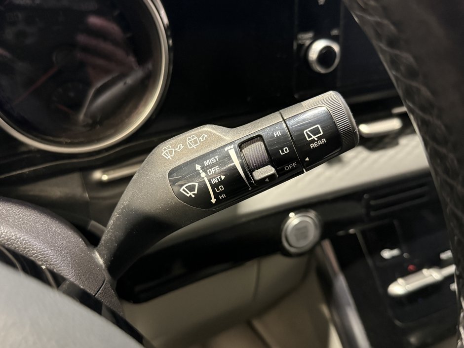 Kia Carnival LX 2022-18