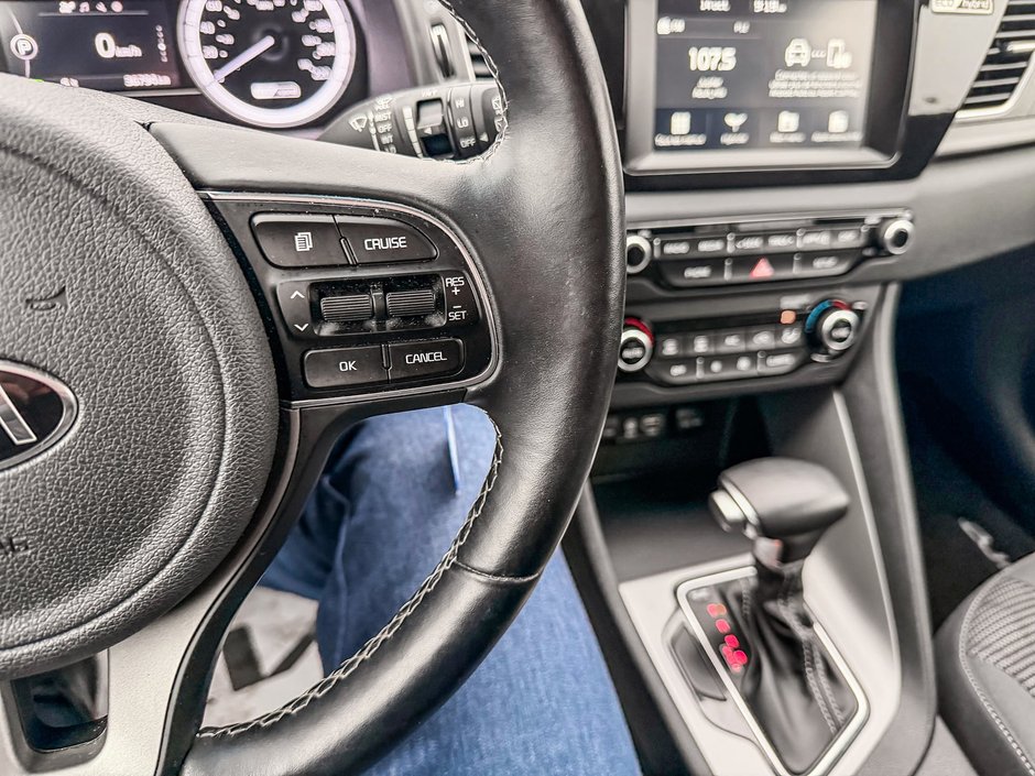 2019 Kia Niro L-18