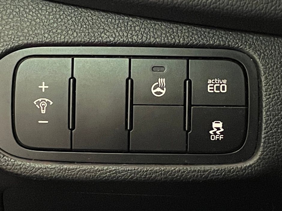 Kia Rondo EX 2015-15