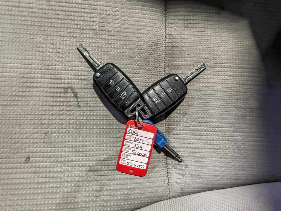 Kia Sedona LX 2019-26