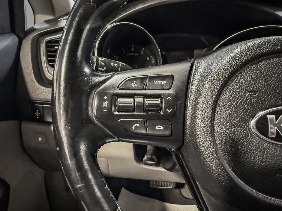 Kia Sedona LX 2019-14