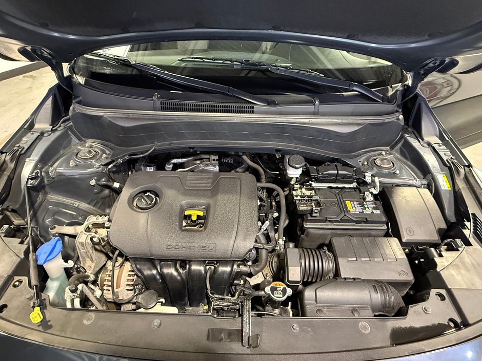 Kia Seltos LX 2023-25