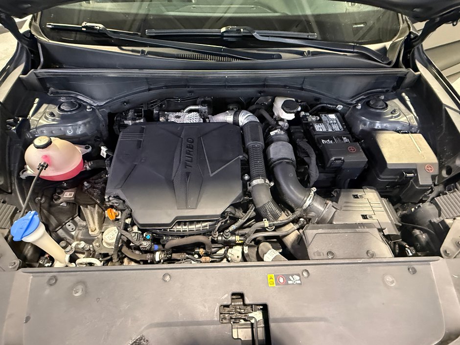 Kia Sorento X LINE 2022-24