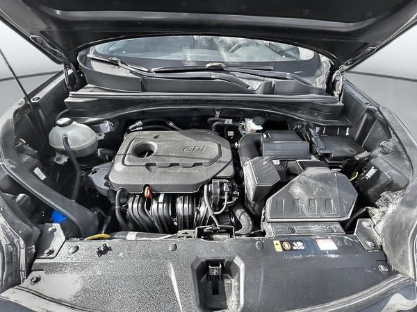 Kia Sportage EX 2020-26