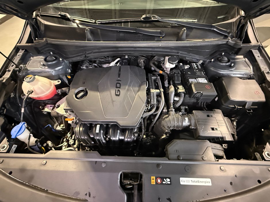 2023 Kia Sportage LX-24