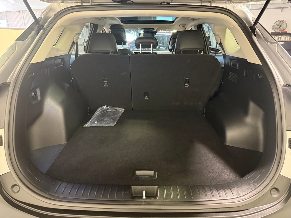 Kia Sportage ex 2024-25
