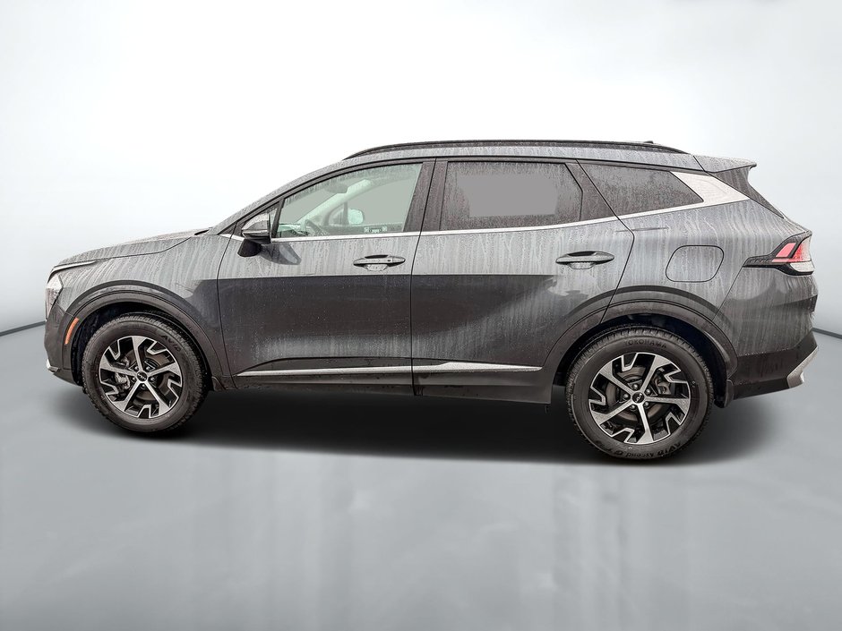 2024 Kia Sportage EX AWD-3