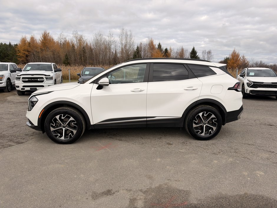 2025 Kia Sportage EX-3