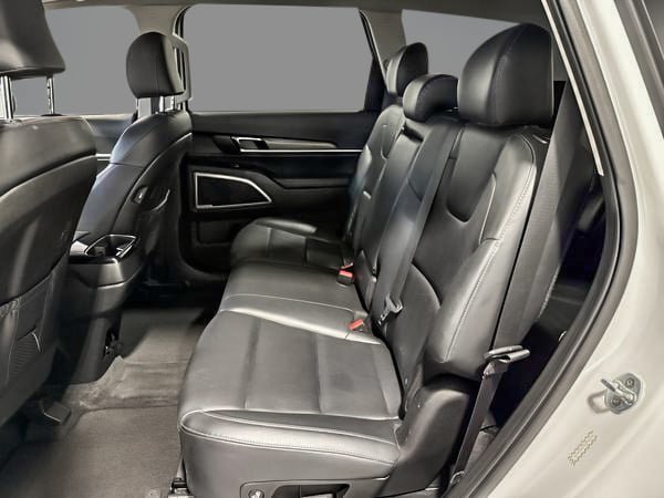 Kia Telluride EX 2020-25