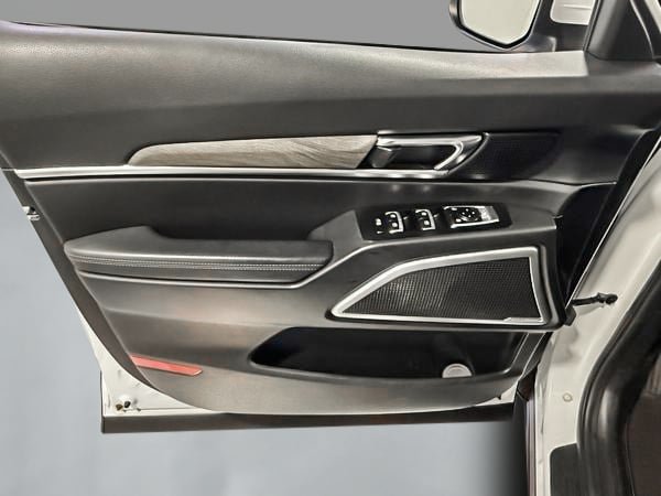 Kia Telluride EX 2020-11