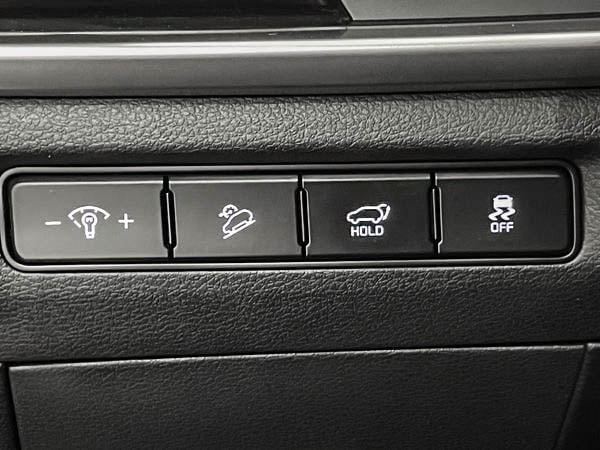Kia Telluride EX AWD / 8 passagers 2024-16