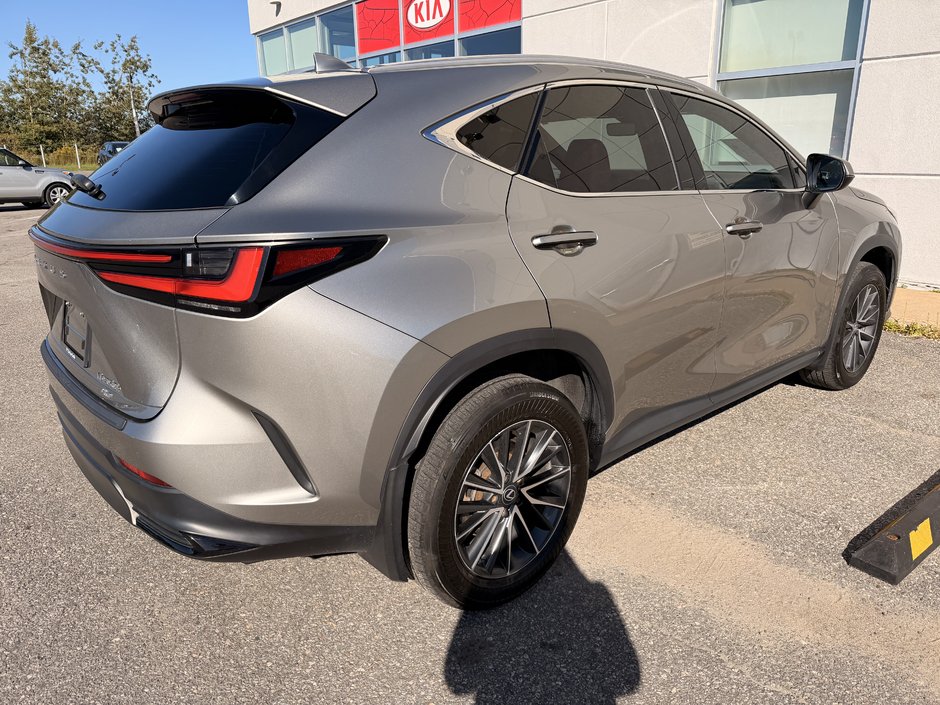 2024 Lexus NX 350H BASE-6