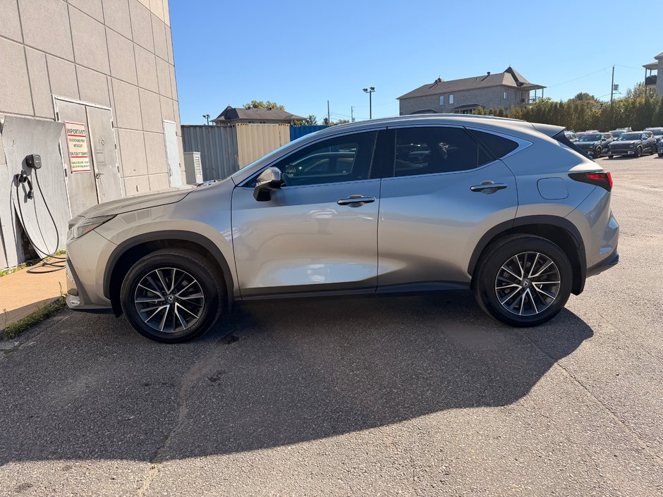 2024 Lexus NX 350H BASE-3
