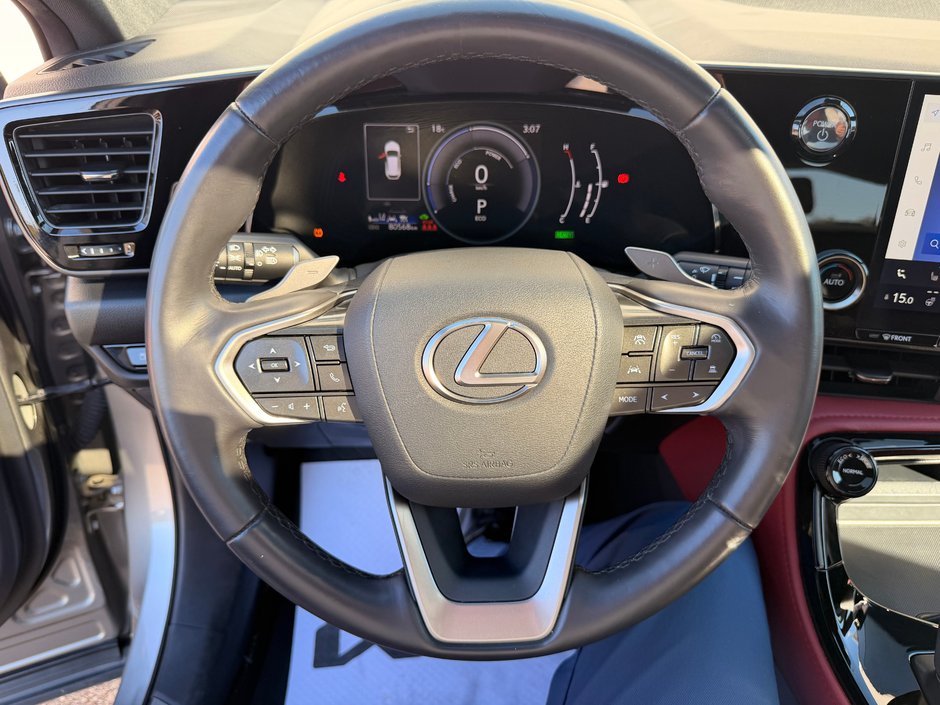 2024 Lexus NX 350H BASE-17