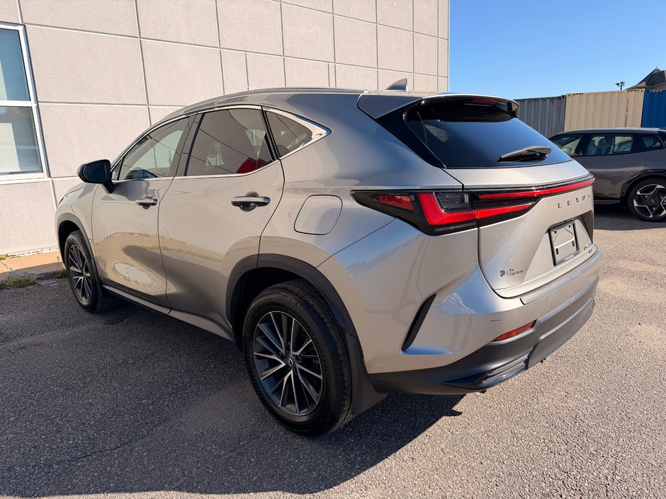 2024 Lexus NX 350H BASE-4