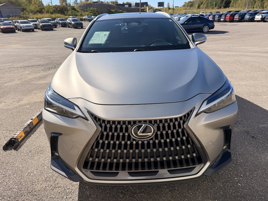 2024 Lexus NX 350H BASE-1