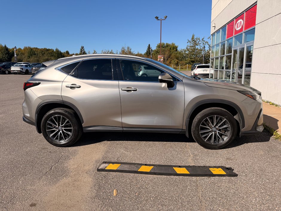 2024 Lexus NX 350H BASE-7