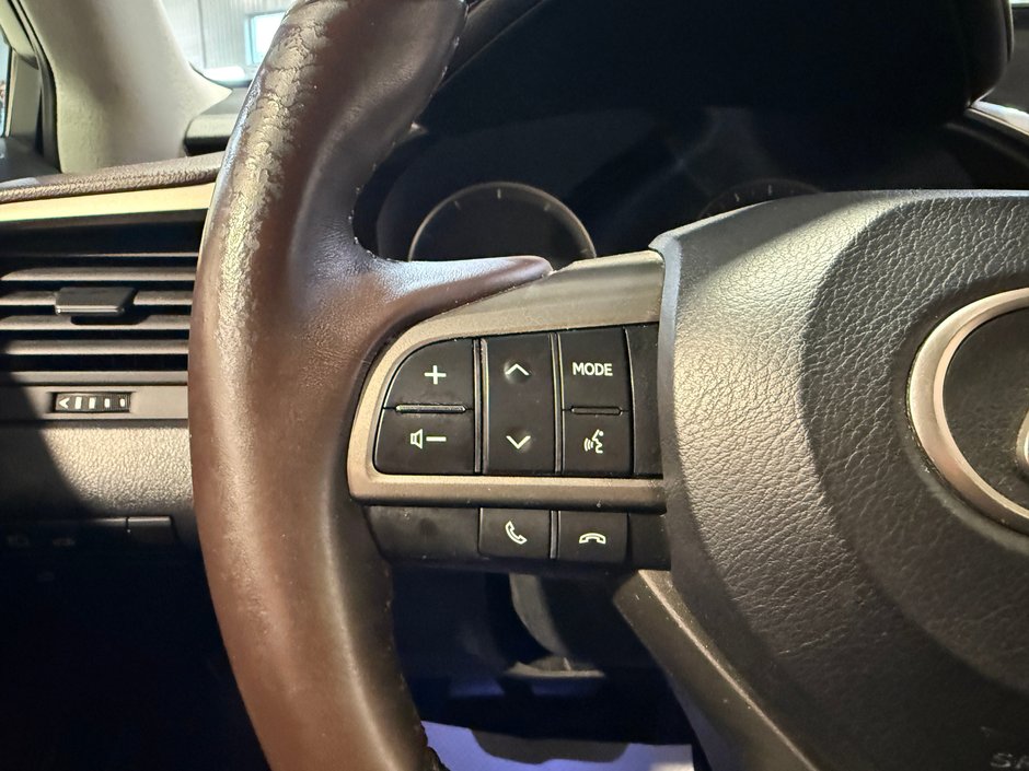 Lexus RX 350  2017-17