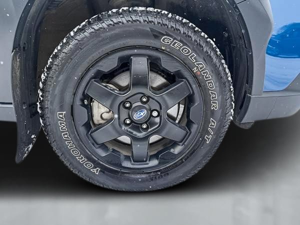 2025 Subaru Outback Wilderness-8