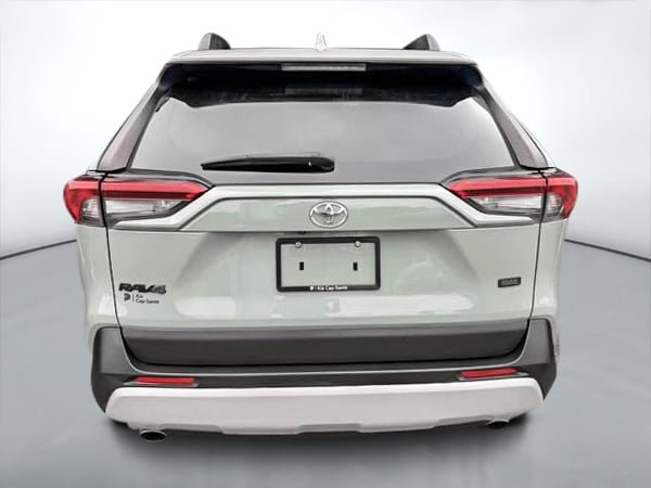 2019 Toyota RAV4 TRAIL AWD-4