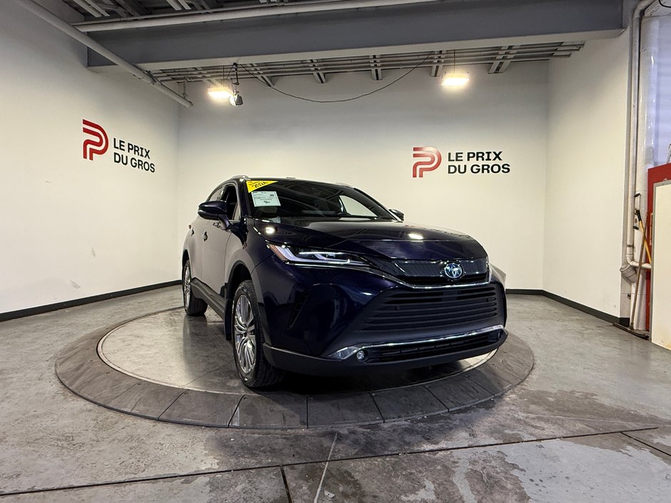 Toyota Venza XLE 2024-0