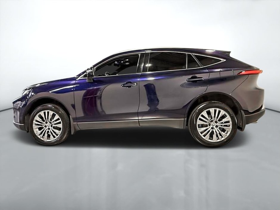2024 Toyota Venza XLE-6