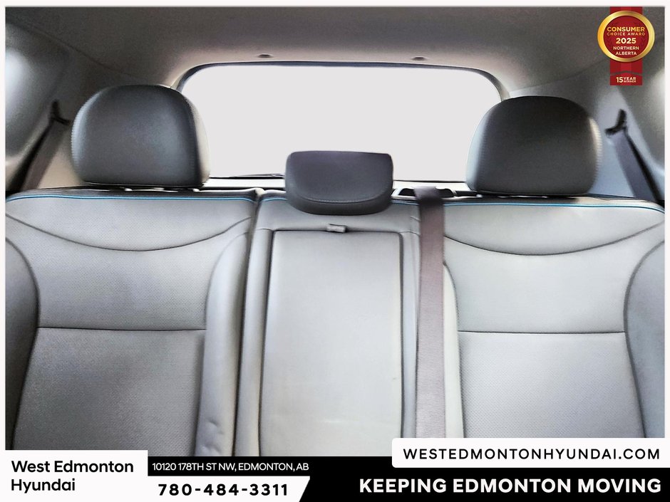 2018 Kia Soul EV EV Luxury-36