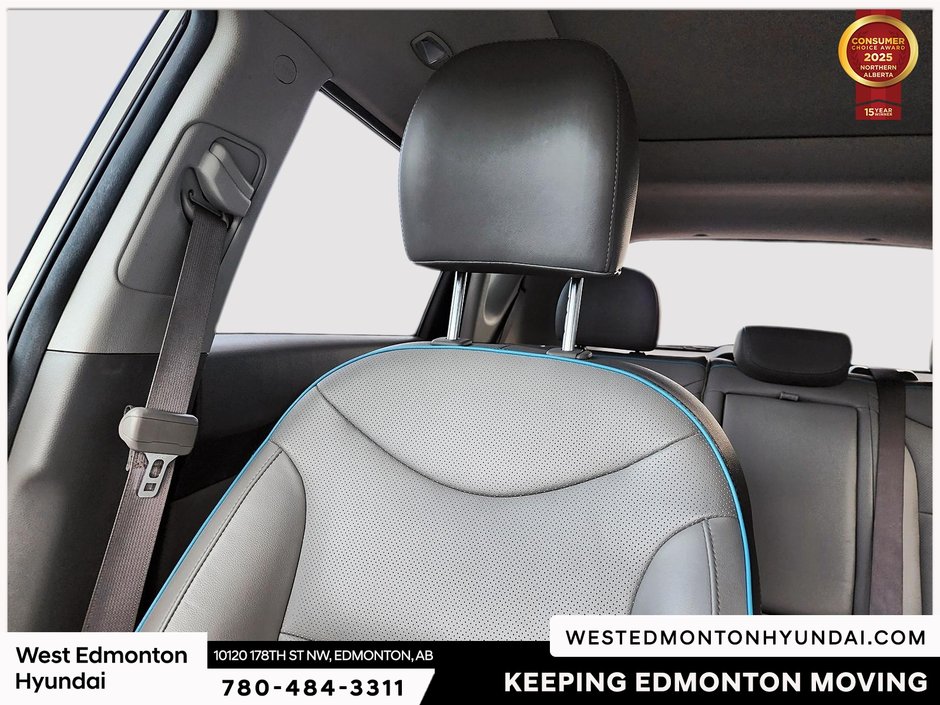 2018 Kia Soul EV EV Luxury-37