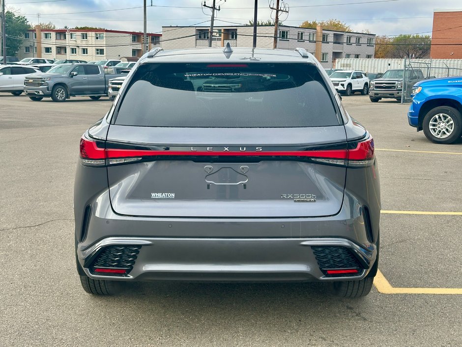 2023 Lexus RX 500h-3