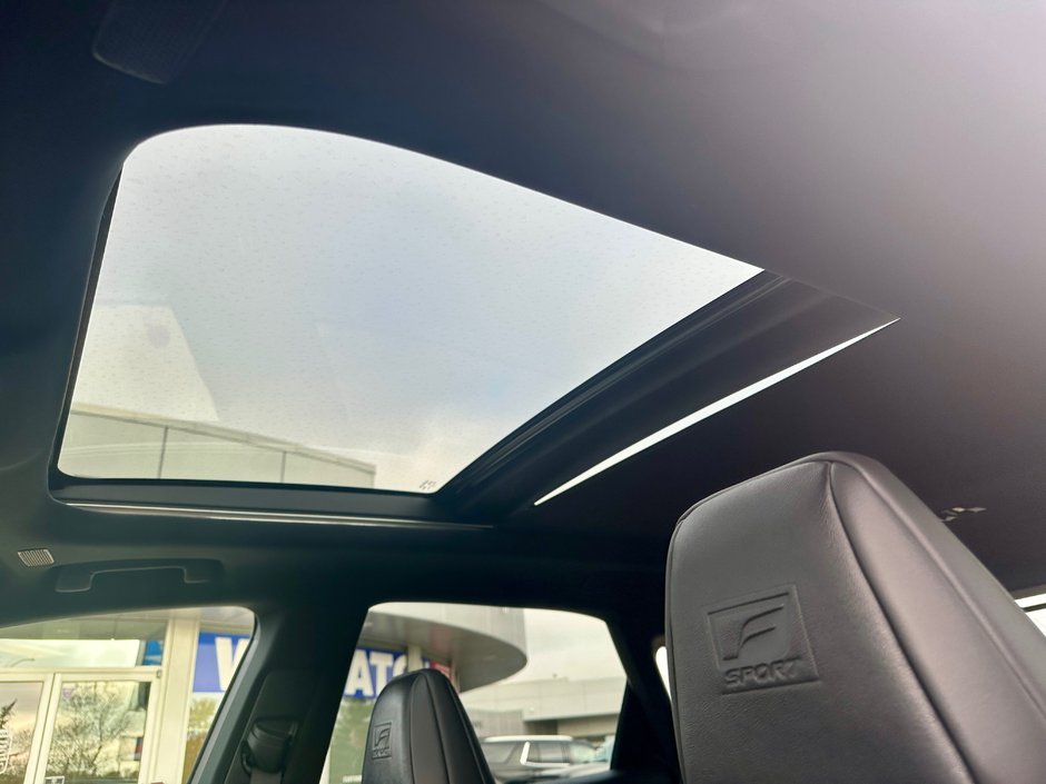 2023 Lexus RX 500h-13