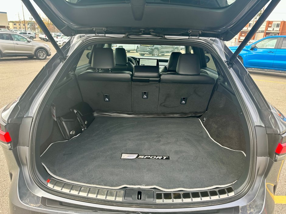 2023 Lexus RX 500h-7