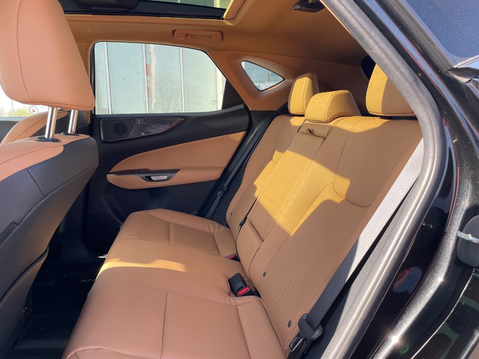 2024 Lexus NX 350h-6