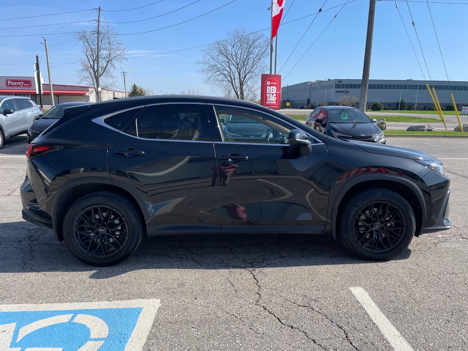 2024 Lexus NX 350h-3