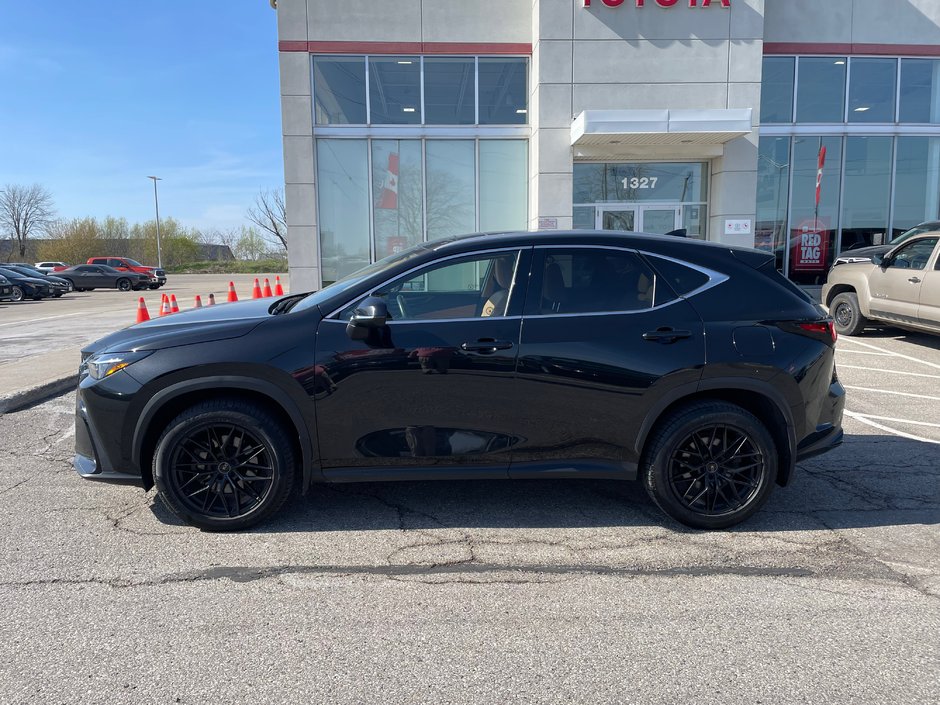 2024 Lexus NX 350h-1