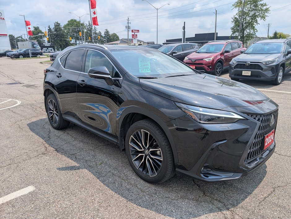 2024 Lexus NX 350-6