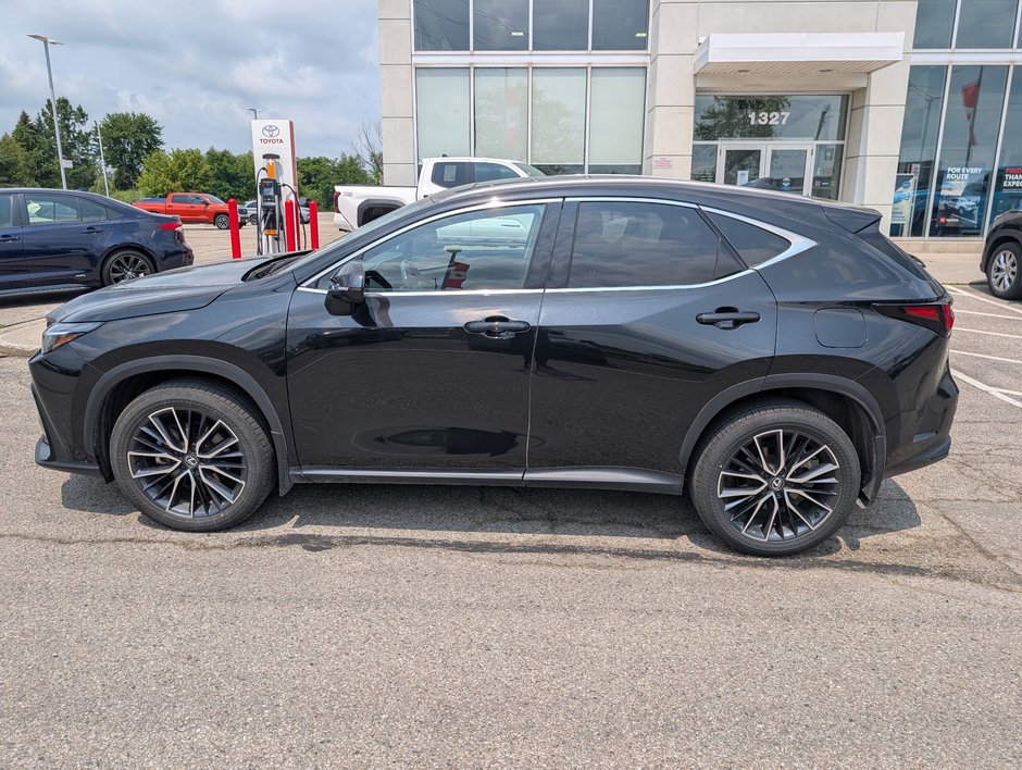 2024 Lexus NX 350-1