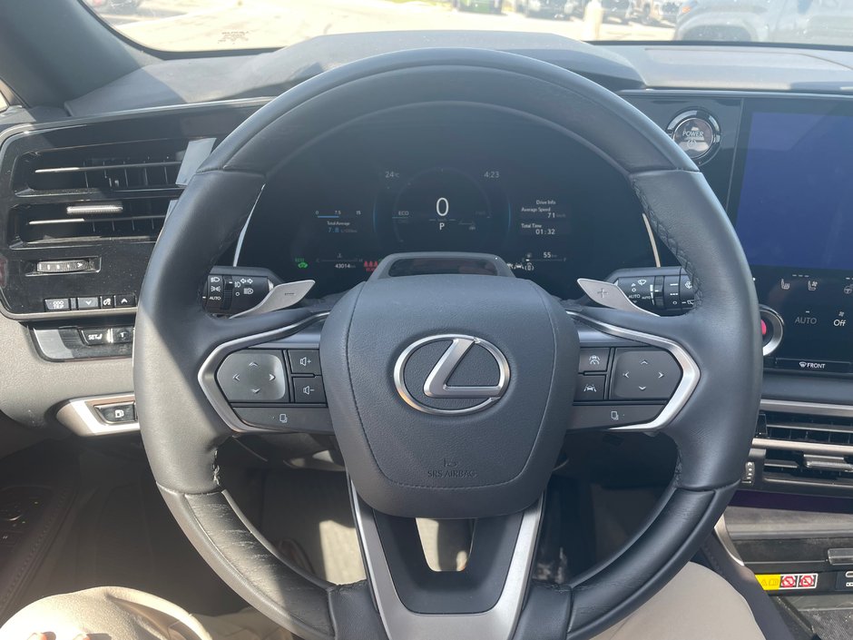 2025 Lexus RX 350h-17