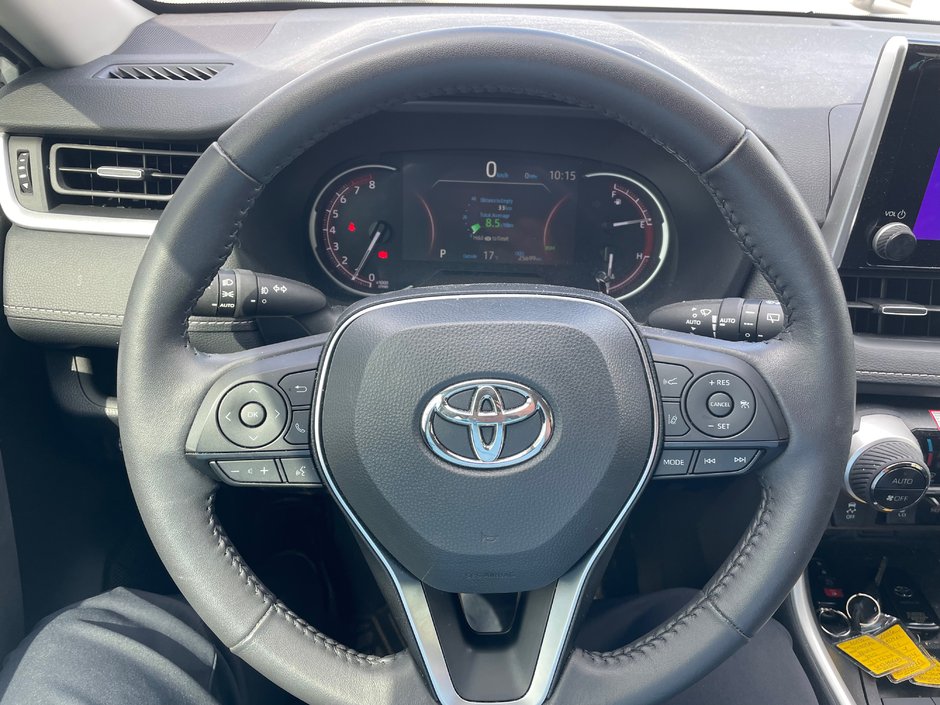 2025 Toyota RAV4 XLE-10