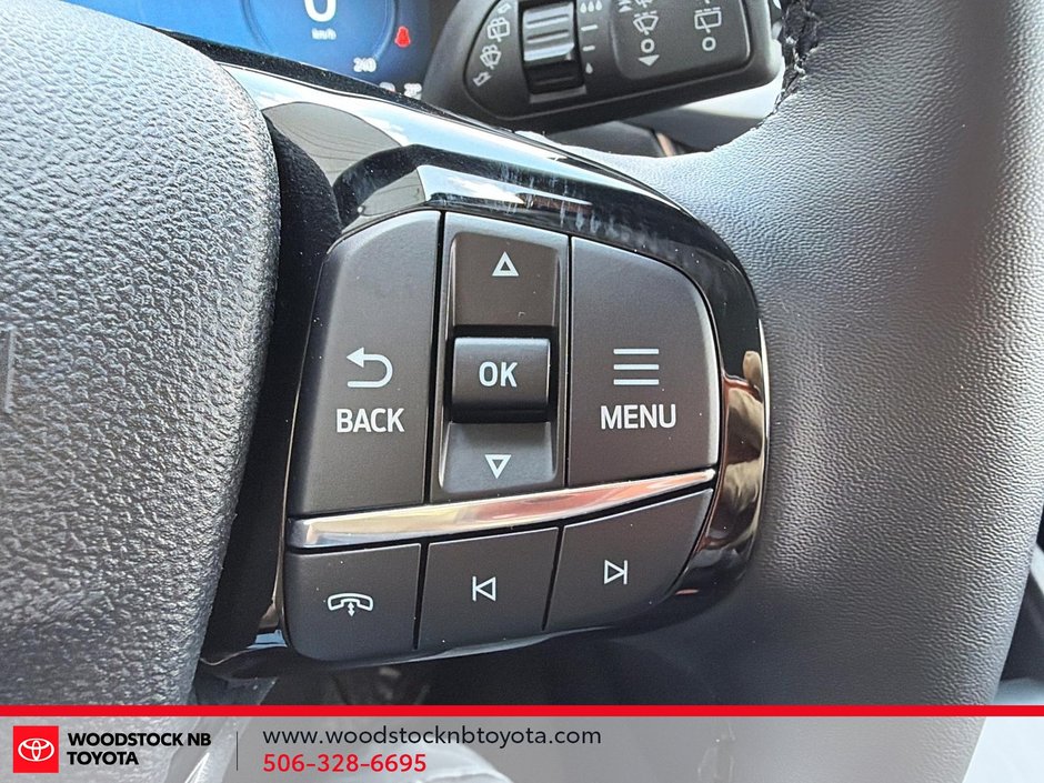 Ford Escape Platinum 2025-19