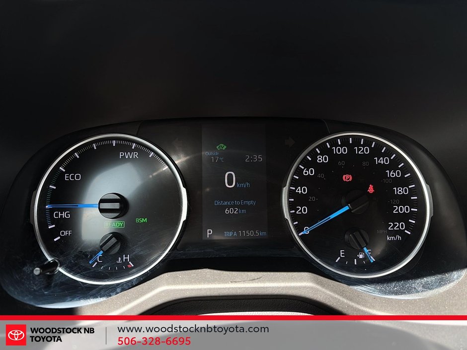 2019 Toyota RAV4 Hybrid XLE-21
