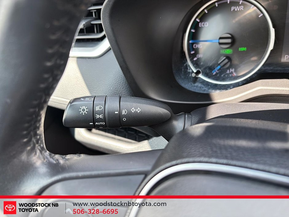 2019 Toyota RAV4 Hybrid XLE-17
