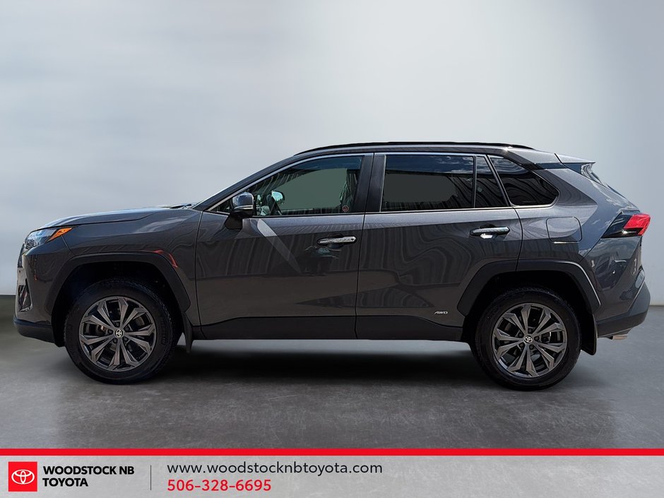Toyota RAV4 Hybrid Limited 2025-6