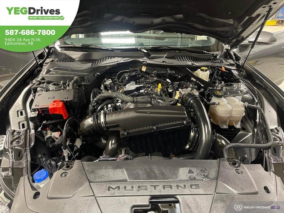 2024 Ford Mustang EcoBoost Premium-9