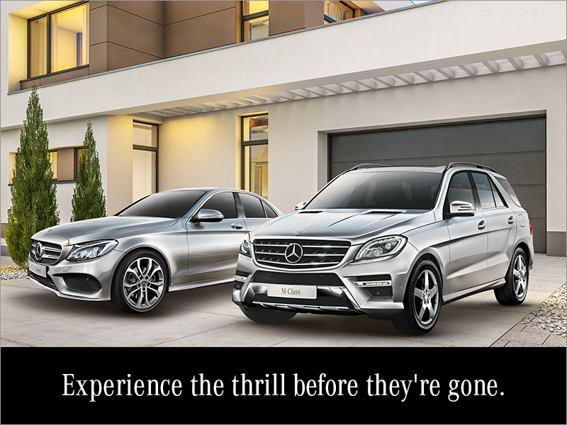 Experience the thrill before they're gone.