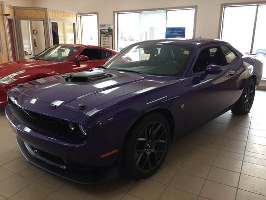 Dodge Challenger A Vendre >> New 2019 Dodge Challenger Scat Pack 392 For Sale In Rendez Dodge Challenger A Vendre >> New 2019 Dodge Challenger Scat Pack 392 For Sale In Rendez