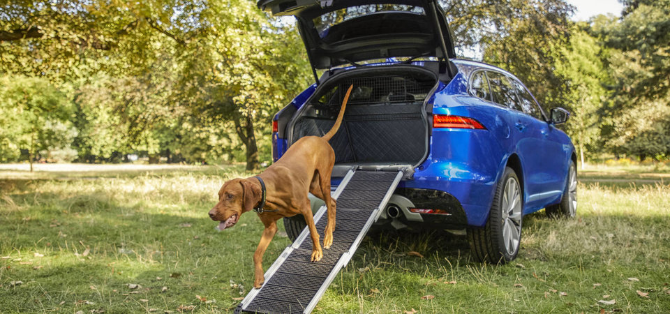 5 accessoires essentiels pour l’été avec votre Jaguar F-PACE 2025