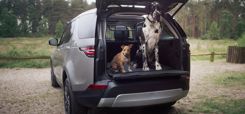 Land Rover lance une gamme d’accessoires pour les animaux