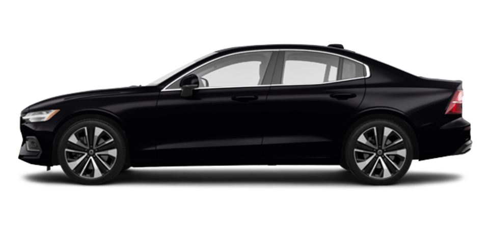 Pictures Available Soon